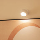 Ceiling light fixture on a beige wall with decorative elements.