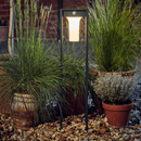 solar bollard garden light installed on path