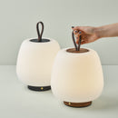 Portable Light | Outdoor Light