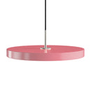 Rose and Steel Umage Pendant Light