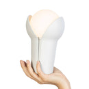 innermost portable bud lamp in ash