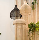 Three Original Home Lighting - woven rattan lampshades  on pendant lights hanging against a bamboo wall with plants.