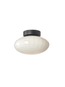 Mesh Ceiling and Wall Light