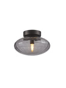 Mesh Ceiling and Wall Light