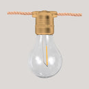 Clear light bulb with brass fitting on a gray background