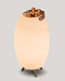 Decorative lamp with bottle-shaped design on a gray background