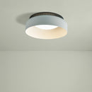 Aspen Ceiling Lamp