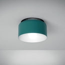 Aspen Ceiling Lamp
