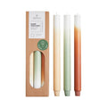 Gradient Candles by Original Home in Pine Tree Colourway