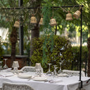 Aurora Solar Garland outside