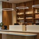  3 Vortex LED Ring Pendant Light suspended over a reception desk 