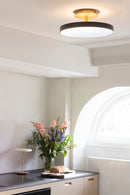  Umage Asteria Up ceiling light  in a Kitchen providing up lighting and down lighting 