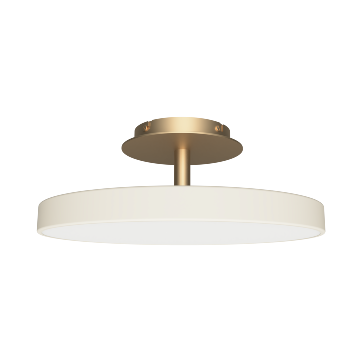 Asteria Up Ceiling Light