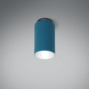 BluxAspen Ceiling LampCeiling Light727450.GY