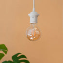 Lighting LoverLarge Clear Gold LED Filament BulbLightbulb4170