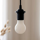Lighting LoverOpal 8W LED BulbLightbulb4109