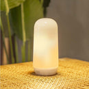 New GardenCandy Flame Effect Portable Rechargeable LightRechargeable LightNGCAFELB001