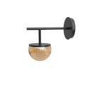 Robin Lamps Roi single arm wall light in black with transparent smoke ribbed glass dome on white background