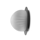 Robin Lamps Roi wall/ceiling light in black with disc base and opal white ribbed glass dome on white background