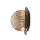 Robin Lamps Roi wall/ceiling light in black with disc base and transparent smoke ribbed glass dome on white background