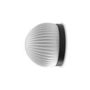Robin Lamps Roi wall/ceiling light in black with simple base and opal white ribbed glass dome on white background