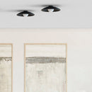 RobinRobin Lamps Randa Mono Ceiling / Wall LightWall LightRANDA-I-WAL_CEI-MONO-BLK