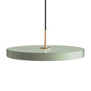 Olive and Gold Umage Pendant Light