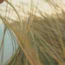 Video of the Umage Orbit Portable Table Lamp in use