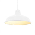 Lighting LoverFactory Metal Pendant LightSuspension LightPF06913001