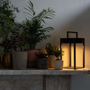 Lighting LoverSolar Lantern Garden Light | Solar LightingOutdoor LightLB13211645