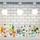 Moon Globe Pendant Light