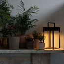 rechargeable solar lantern steel lit next to plants